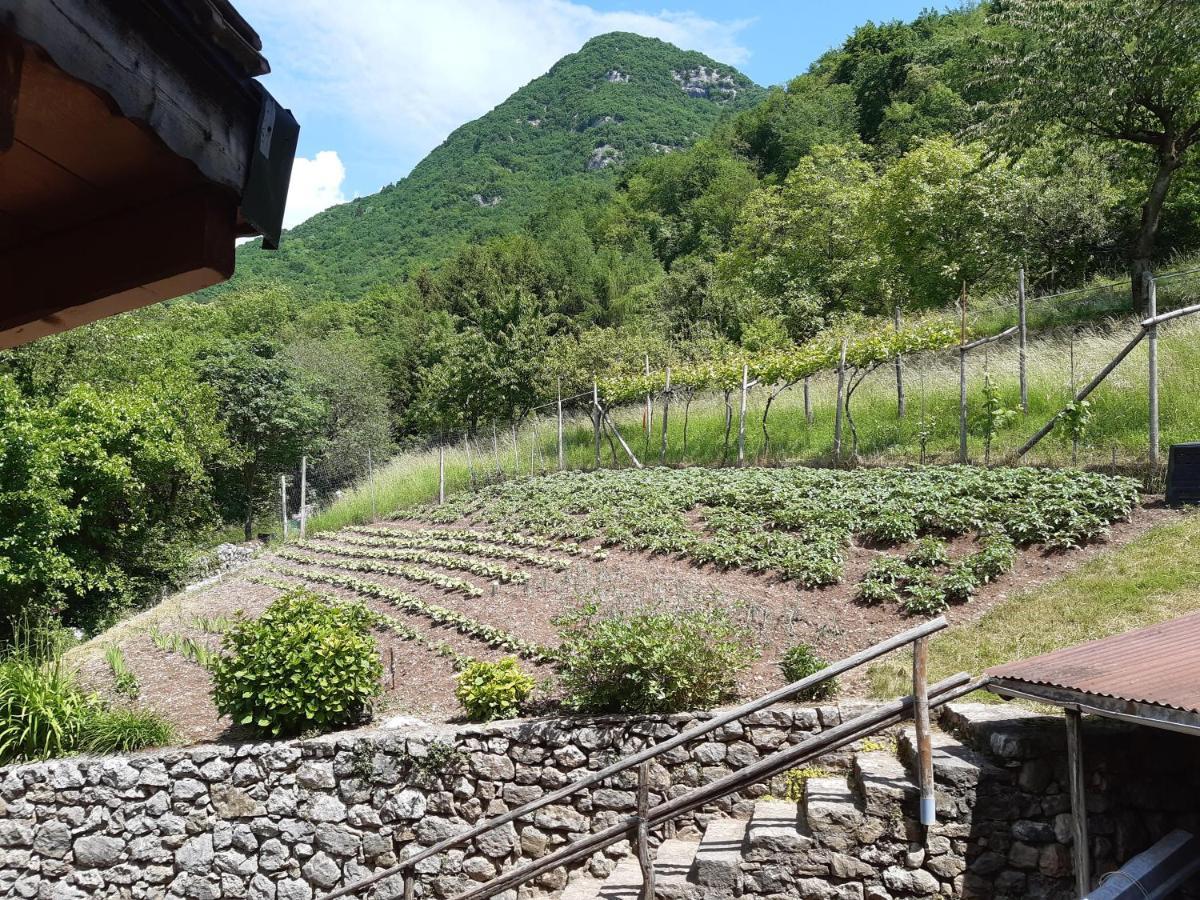 Ca' Berti Appartamento Con Terrazza Ville Del Monte Tenno Eksteriør billede
